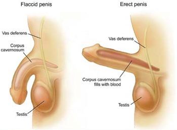 How improve testosterone levels