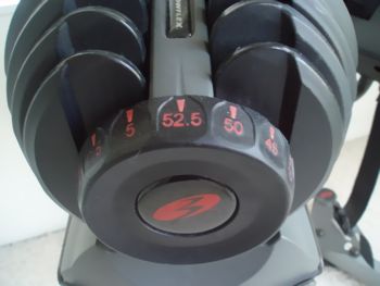 Bowflex dumbell dial adjustable
