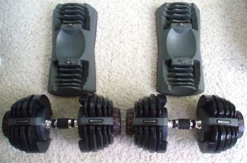 bowflex dumbbels base weights